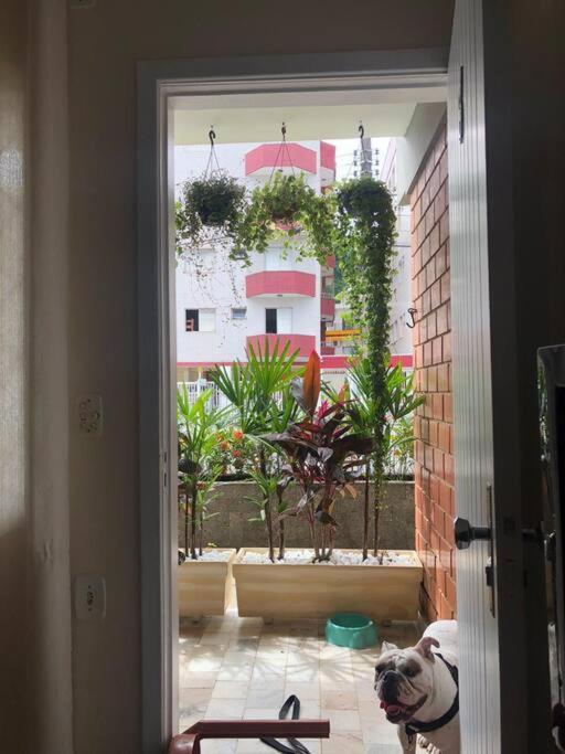 Apartamento Apartamento A 230 Mts Da Em Ubatuba