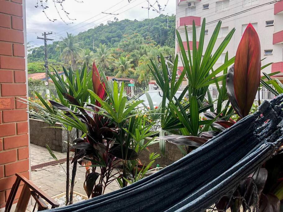 Apartamento A 230 Mts Da Em *